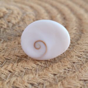 Bague coquillage